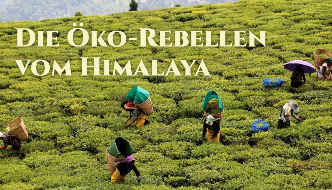 Die Öko-Rebellen vom Himalaya